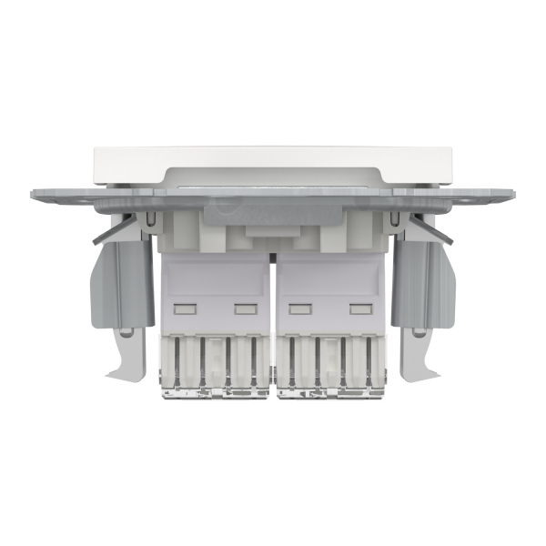 Schneider Asfora - Netzwerkdose - ISDN-​Dose CAT6 2xRJ45